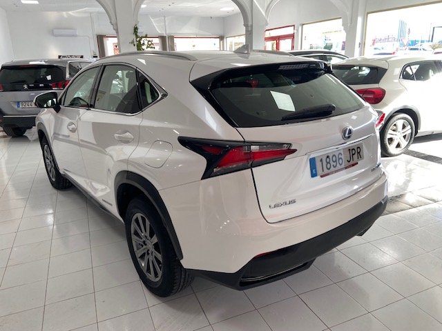 LEXUS NX 300h